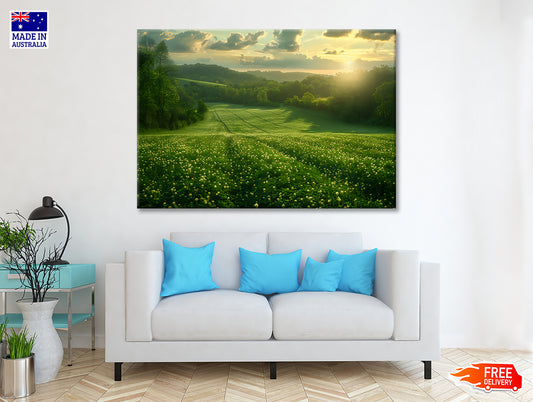 Green Field with Sun Rays Print 100% Australian Made - Bella Home Decor