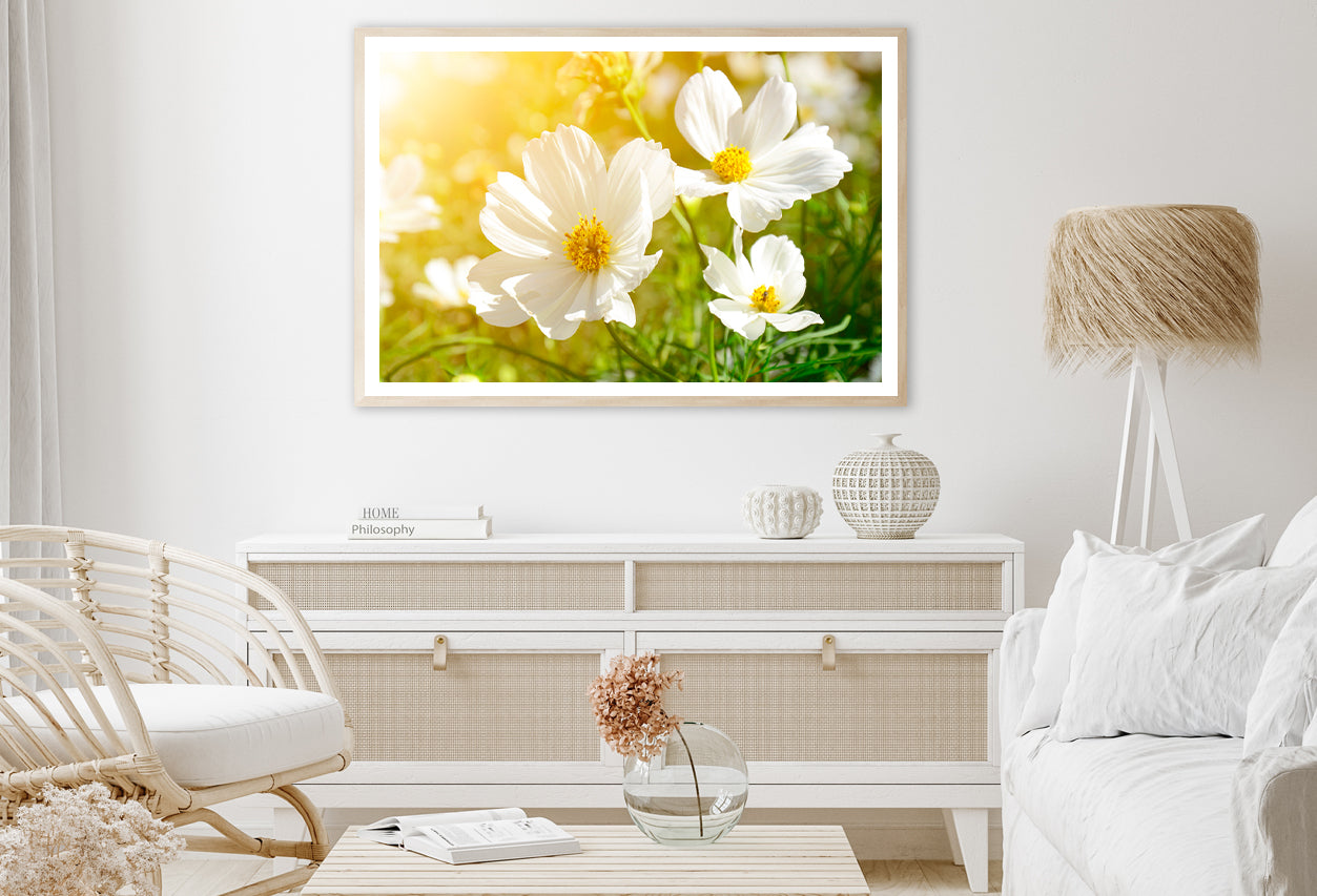 White Flowers Close-Up View In Garden Home Decor Premium Quality Poster Print Choose Your Sizes