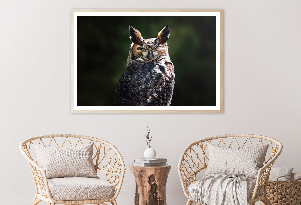 South American Great Horned Owl Close up View Home Decor Premium Quality Poster Print Choose Your Sizes - Bella Home Decor