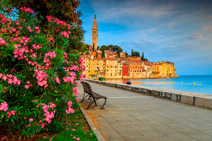 Old Town of Rovinj with Beautiful Pink Oleander Flowers Home Decor Premium Quality Poster Print Choose Your Sizes