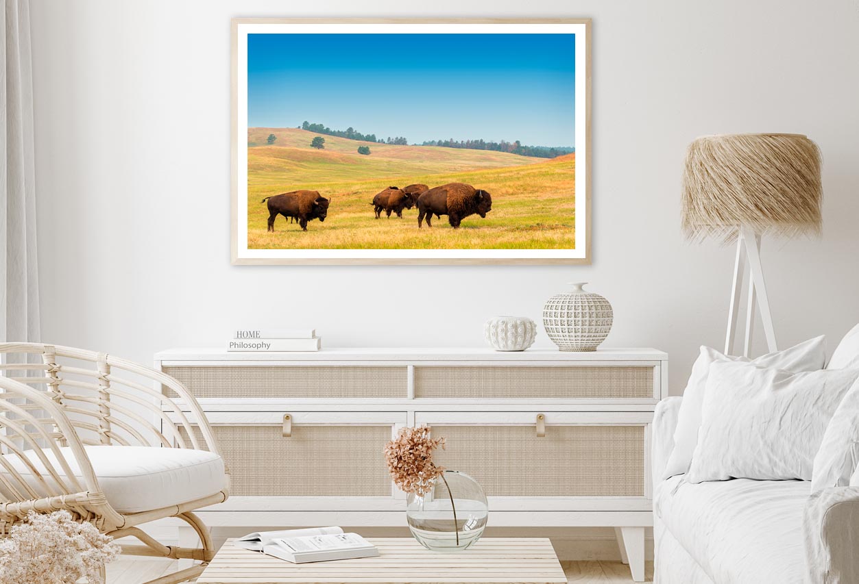 Herd of Buffalo Home Decor Premium Quality Poster Print Choose Your Sizes