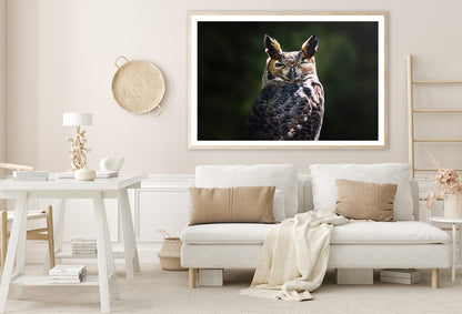 South American Great Horned Owl Close up View Home Decor Premium Quality Poster Print Choose Your Sizes - Bella Home Decor