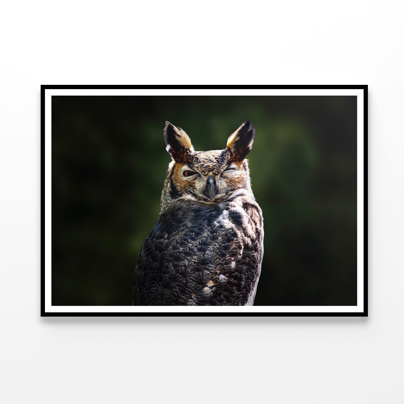 South American Great Horned Owl Close up View Home Decor Premium Quality Poster Print Choose Your Sizes - Bella Home Decor