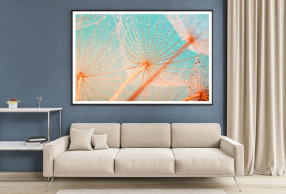 Dandelion Seed with Water Drops Home Decor Premium Quality Poster Print Choose Your Sizes