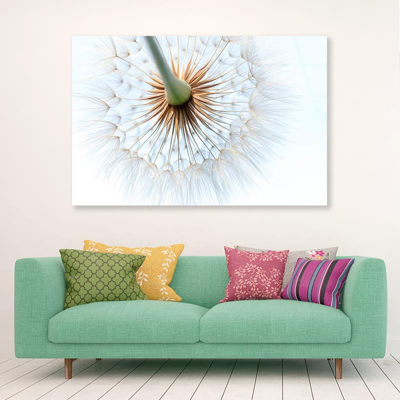 Dandelion With Seeds Blowing in The Wind Acrylic Glass Print Tempered Glass Wall Art 100% Made in Australia Ready to Hang