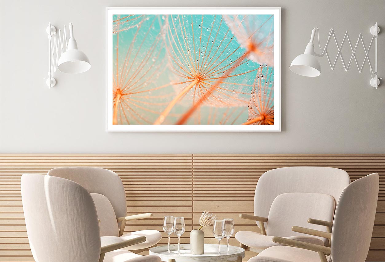 Dandelion Seed with Water Drops Home Decor Premium Quality Poster Print Choose Your Sizes