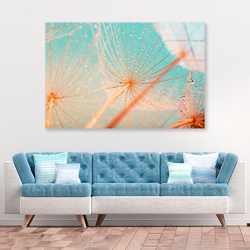 Dandelion Seed with Water Drops Acrylic Glass Print Tempered Glass Wall Art 100% Made in Australia Ready to Hang