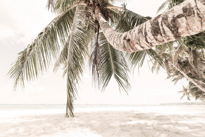 Sandy Seashore & Palm Trees Faded View Photograph Glass Framed Wall Art, Ready to Hang Quality Print