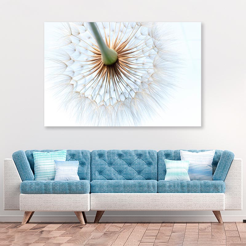 Dandelion With Seeds Blowing in The Wind Acrylic Glass Print Tempered Glass Wall Art 100% Made in Australia Ready to Hang