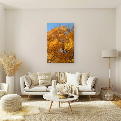 Golden Autumn Foliage of a Maple Tree 40x60cm Metal Print Ready to Hang