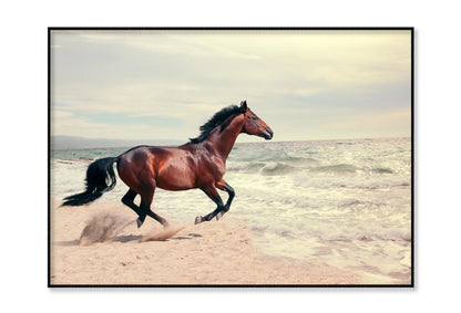 Wonderful Marine & Running Horse Home Decor Premium Quality Poster Print Choose Your Sizes