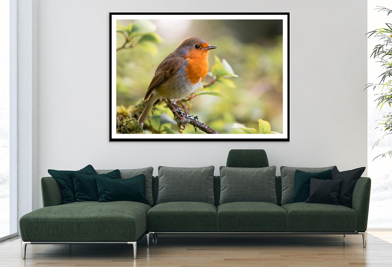Bird In Family Turdidae, With Beak Open in Profile Home Decor Premium Quality Poster Print Choose Your Sizes - Bella Home Decor