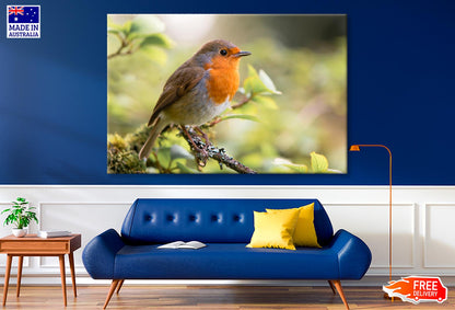 Bird In Family Turdidae, With Beak Open in Profile  Wall Art Decor 100% Australian Made - Bella Home Decor
