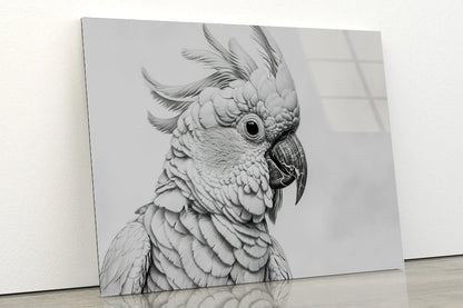 Sketch Of Cockatoo Bird in White Acrylic Glass Print Tempered Glass Wall Art 100% Made in Australia Ready to Hang