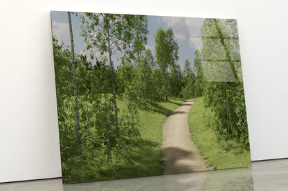 Path Surrounded By Trees of the Forest Acrylic Glass Print Tempered Glass Wall Art 100% Made in Australia Ready to Hang