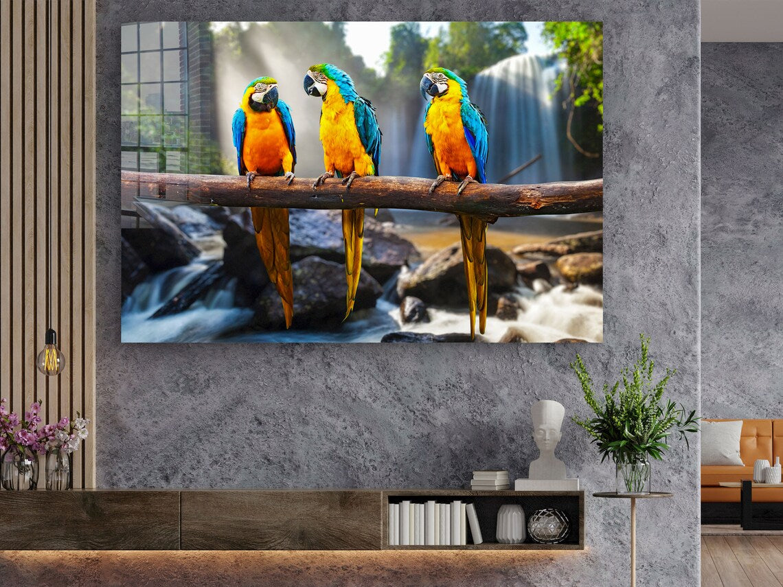 Macaw Birds on Branch UV Direct Aluminum Print Australian Made Quality