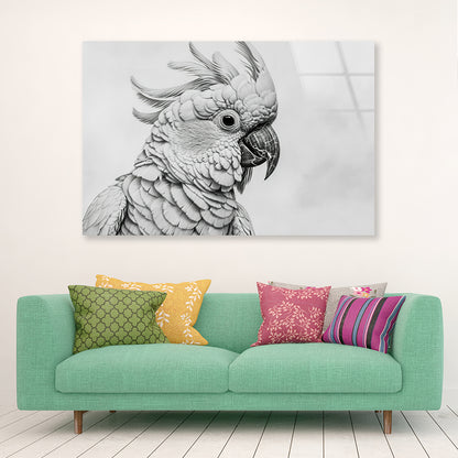 Sketch Of Cockatoo Bird in White Acrylic Glass Print Tempered Glass Wall Art 100% Made in Australia Ready to Hang