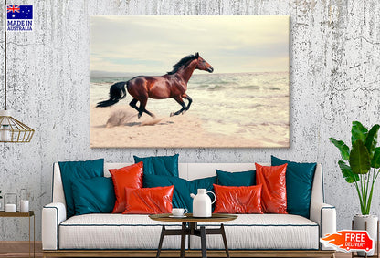 Wonderful Marine Landscape with Beautiful Bay Horse Wall Art Decor 100% Australian Made