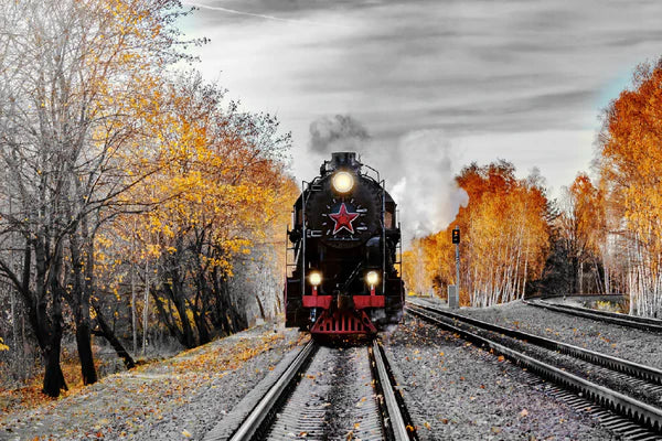 B&W Train & Autumn Trees View Photograph 90x60cm Print 100% Australian Made