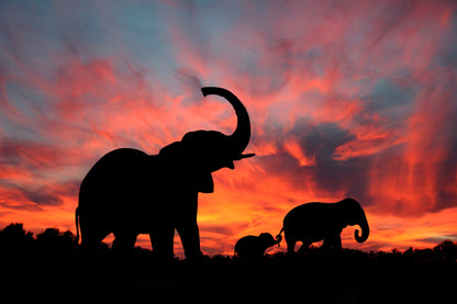 Elephant Family & Sunset Sky View Home Decor Premium Quality Poster Print Choose Your Sizes