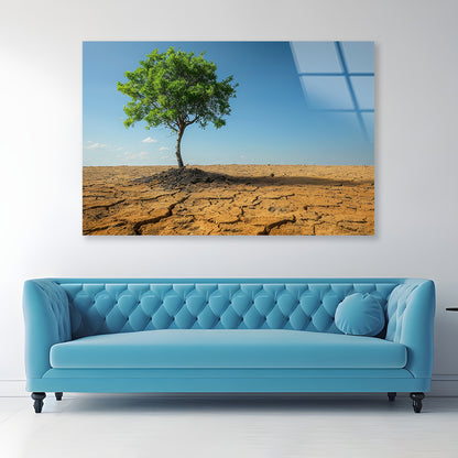 A Tree Is Standing In a Barren Desert Acrylic Glass Print Tempered Glass Wall Art 100% Made in Australia Ready to Hang - Bella Home Decor