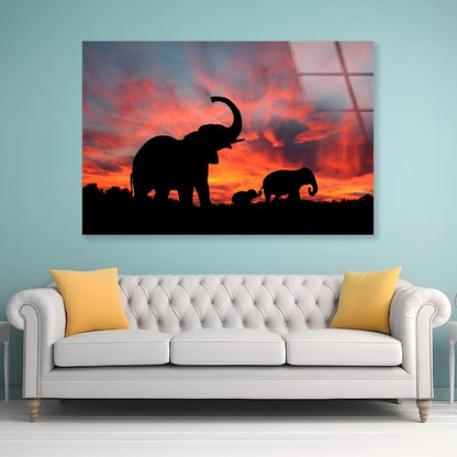 Elephant Family & Sunset Sky View Acrylic Glass Print Tempered Glass Wall Art 100% Made in Australia Ready to Hang