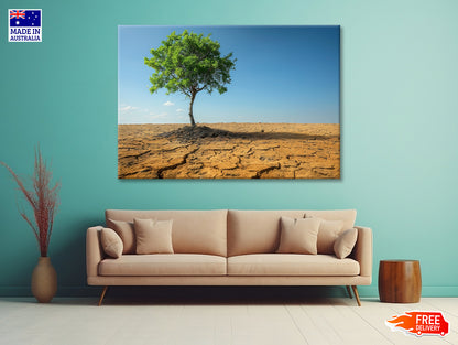A Tree Is Standing In a Barren Desert Print 100% Australian Made - Bella Home Decor