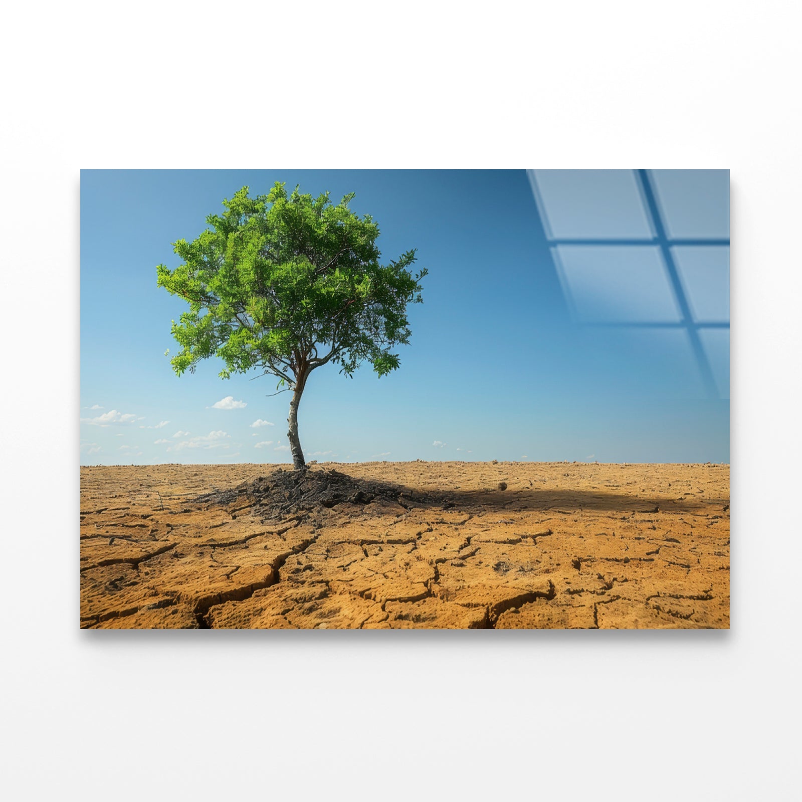 A Tree Is Standing In a Barren Desert Acrylic Glass Print Tempered Glass Wall Art 100% Made in Australia Ready to Hang - Bella Home Decor