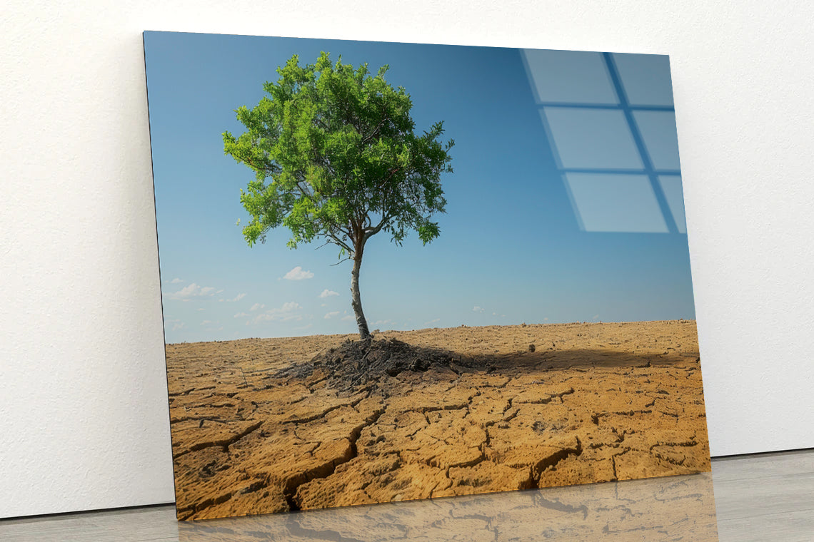 A Tree Is Standing In a Barren Desert Acrylic Glass Print Tempered Glass Wall Art 100% Made in Australia Ready to Hang - Bella Home Decor