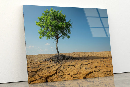 A Tree Is Standing In a Barren Desert Acrylic Glass Print Tempered Glass Wall Art 100% Made in Australia Ready to Hang - Bella Home Decor