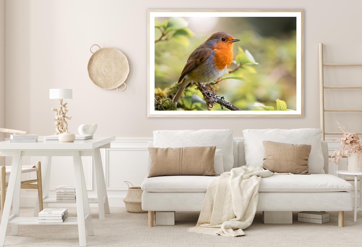 Bird In Family Turdidae, With Beak Open in Profile Home Decor Premium Quality Poster Print Choose Your Sizes - Bella Home Decor