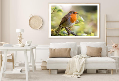 Bird In Family Turdidae, With Beak Open in Profile Home Decor Premium Quality Poster Print Choose Your Sizes - Bella Home Decor