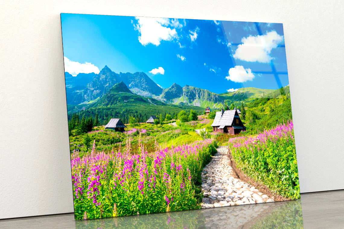 Path through Flowers Meadow Acrylic Glass Print Tempered Glass Wall Art 100% Made in Australia Ready to Hang