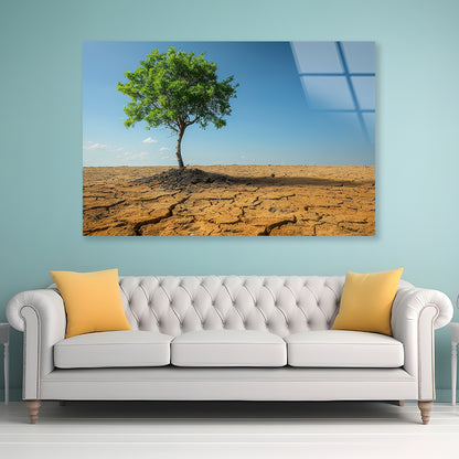 A Tree Is Standing In a Barren Desert Acrylic Glass Print Tempered Glass Wall Art 100% Made in Australia Ready to Hang - Bella Home Decor