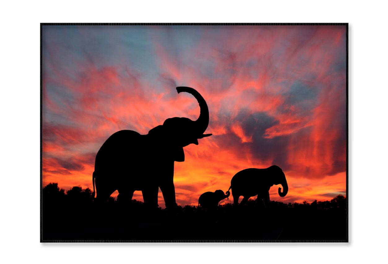 Elephant Family & Sunset Sky View Home Decor Premium Quality Poster Print Choose Your Sizes