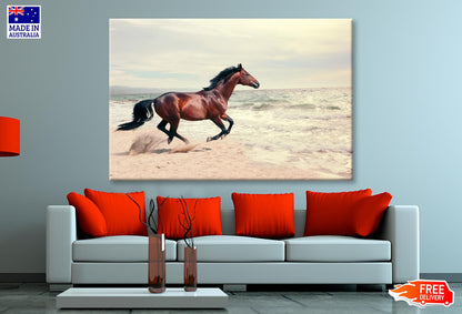 Wonderful Marine Landscape with Beautiful Bay Horse Wall Art Decor 100% Australian Made