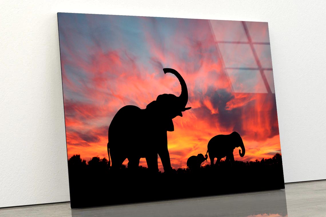 Elephant Family & Sunset Sky View Acrylic Glass Print Tempered Glass Wall Art 100% Made in Australia Ready to Hang