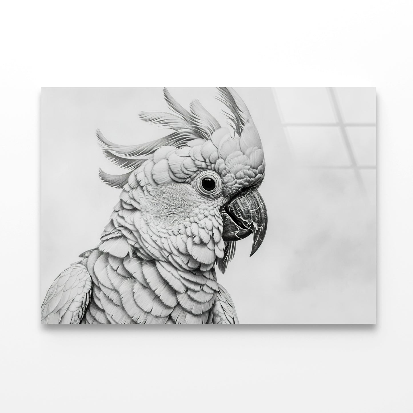 Sketch Of Cockatoo Bird in White Acrylic Glass Print Tempered Glass Wall Art 100% Made in Australia Ready to Hang