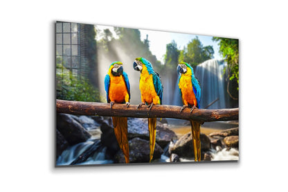 Macaw Birds on Branch UV Direct Aluminum Print Australian Made Quality