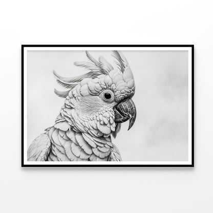 Sketch Of Cockatoo Bird in White Home Decor Premium Quality Poster Print Choose Your Sizes