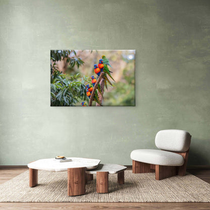 Major Environmental Rainbow Lorikeet Gathering Wild Tree Branch Australia  Wall Art Decor 100% Australian Made