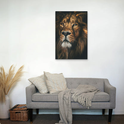 Close-Up Photograph of a Male Lion 60x90cm Metal Print Ready to Hang