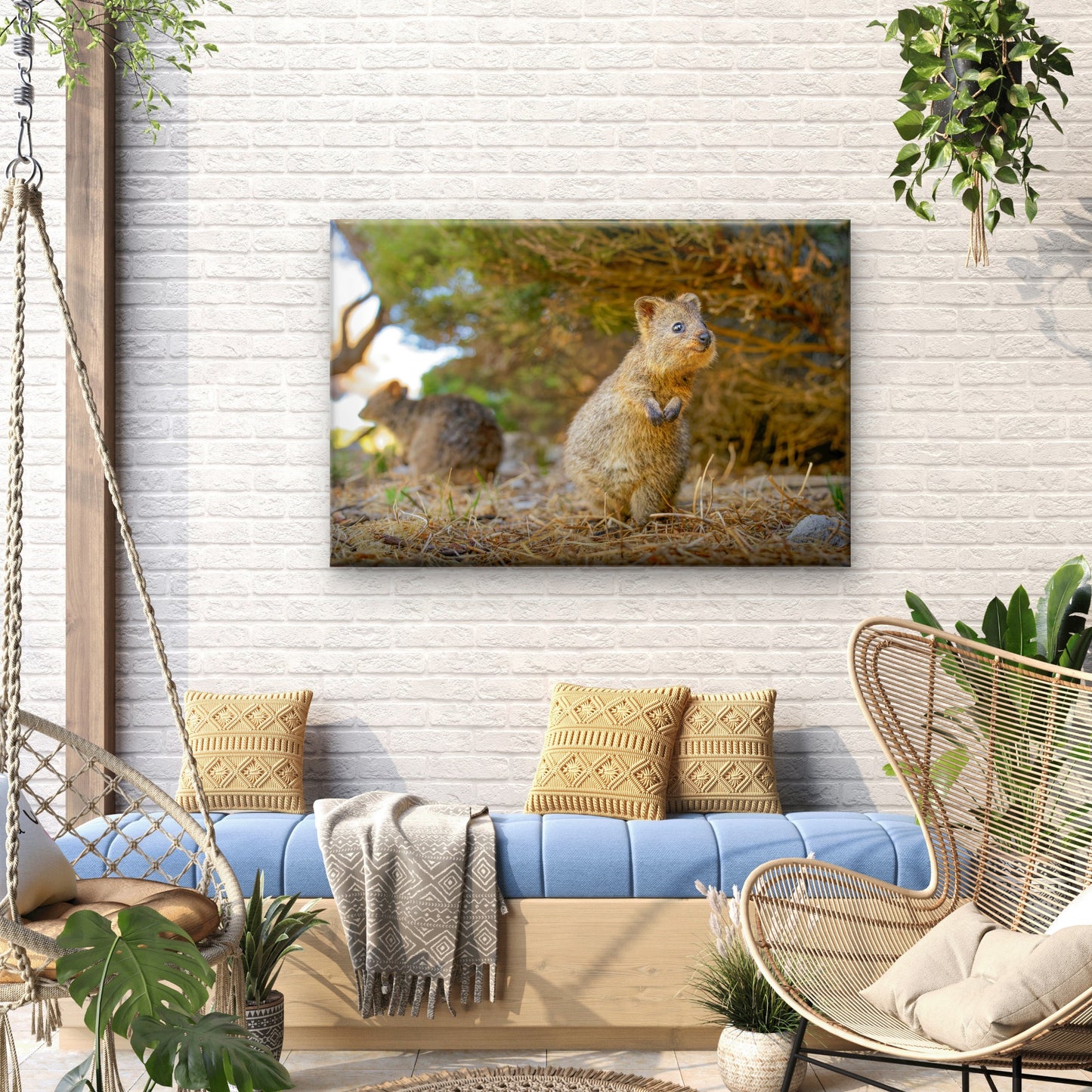 Quokka Western Australia Wildlife Wall Art Decor 100% Australian Made
