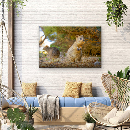 Quokka Western Australia Wildlife Wall Art Decor 100% Australian Made