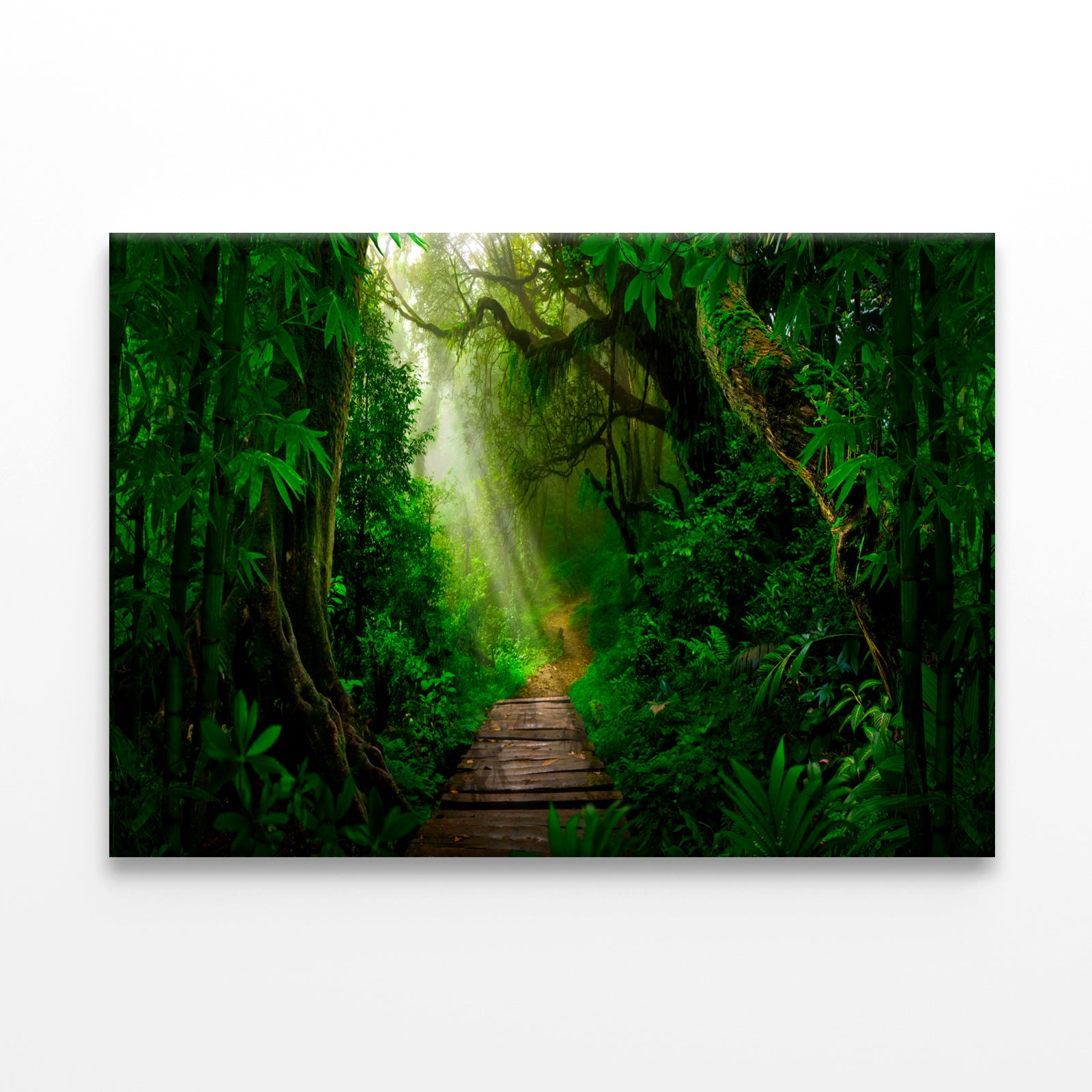 Tropical Jungles Southeast Asia Wall Art Decor 100% Australian Made - Bella Home Decor