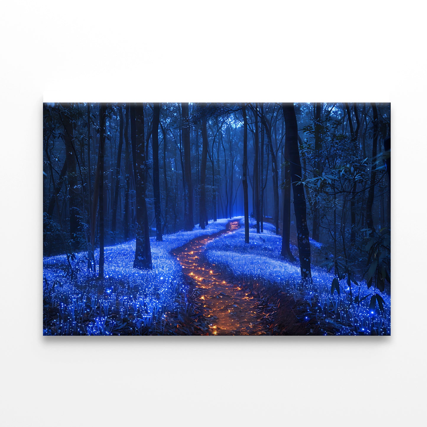 Footpath in the Forest View Print 100% Australian Made - Bella Home Decor