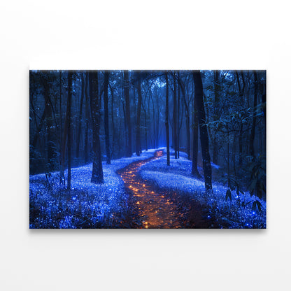 Footpath in the Forest View Print 100% Australian Made - Bella Home Decor