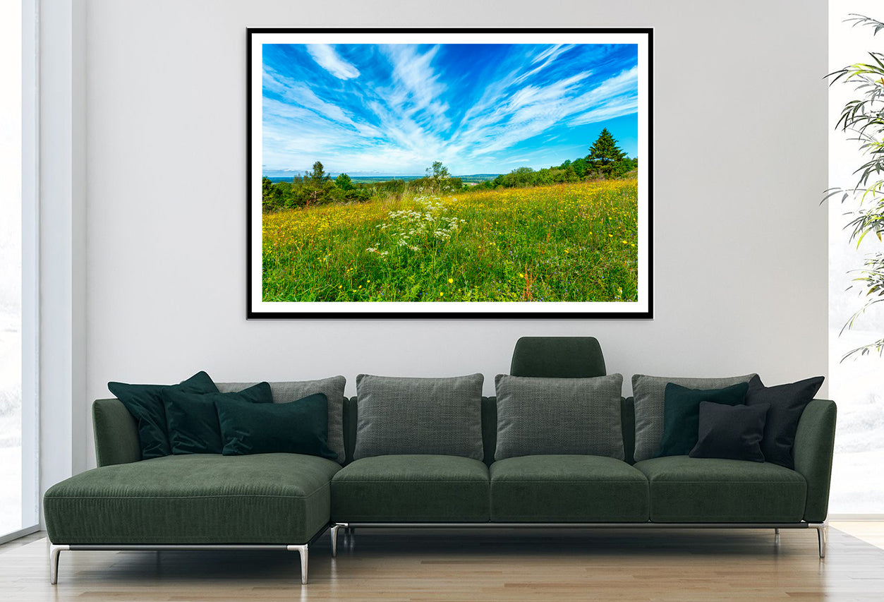 Flowering Meadow with Cirrus Cloud in the Sky Home Decor Premium Quality Poster Print Choose Your Sizes