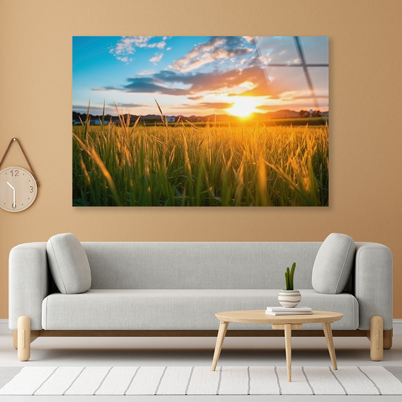 Peaceful Grassland Scenery on Sunset Acrylic Glass Print Tempered Glass Wall Art 100% Made in Australia Ready to Hang