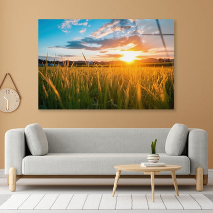 Peaceful Grassland Scenery on Sunset Acrylic Glass Print Tempered Glass Wall Art 100% Made in Australia Ready to Hang